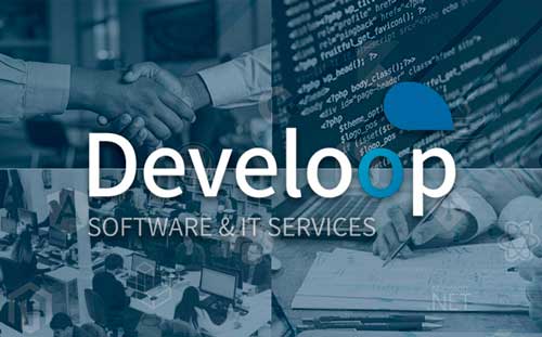 Develoop-software-services-min